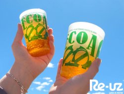 ECOA, Europe's first cross-border festival, relies on Re-uz reusable cups